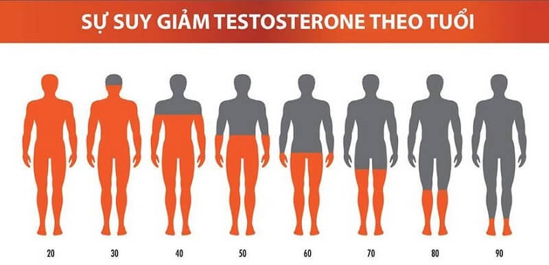 Nam giới bị suy giảm Testosterone phải làm sao? 6 Thực phẩm giàu Testosterone cho nam giới tốt nhất