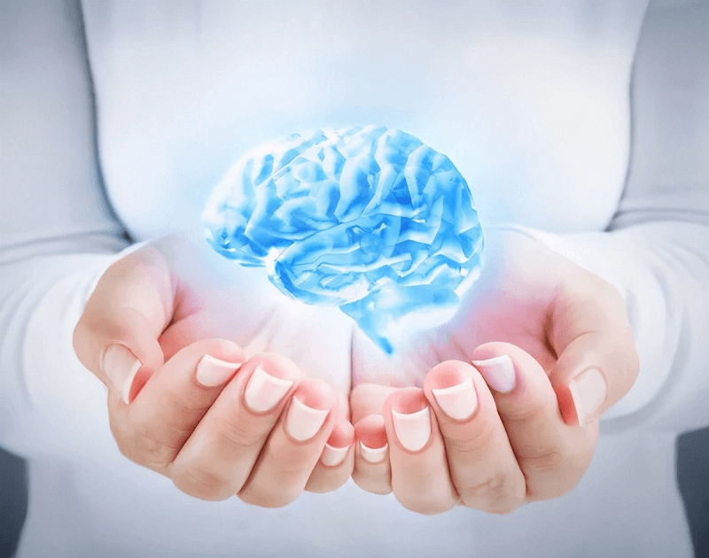 Top 7 thực phẩm tốt cho não bộ, tăng cường trí nhớ và sự tập trung